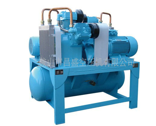 ?空壓機(jī)型號(hào)?諸多展現(xiàn),發(fā)展又該如何